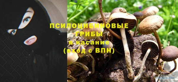 молекула духа Белоозёрский
