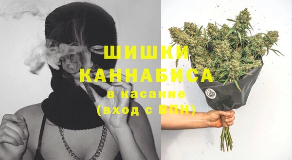 молекула духа Белоозёрский